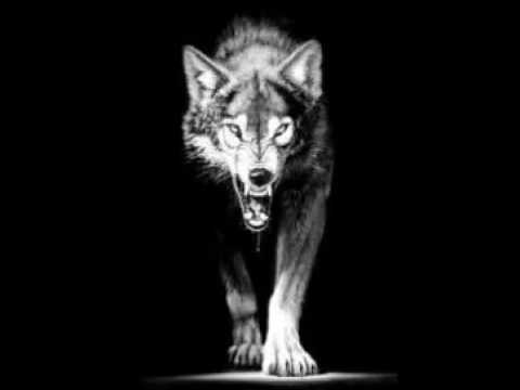 LOBO SOLITARIO (RAP)