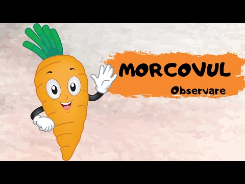 MORCOVUL🥕 - observare || legume ||toamna|| cunoașterea mediului preșcolari