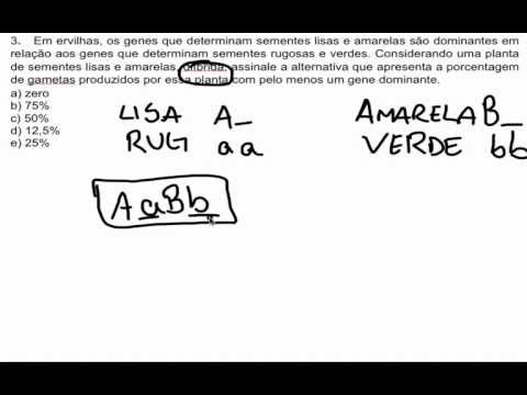 exercicios sobre segunda lei de Mendel