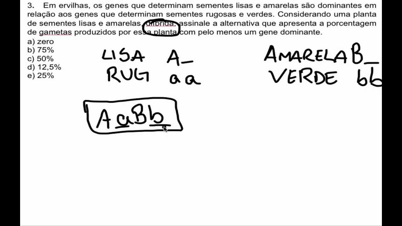 exercicios sobre segunda lei de Mendel