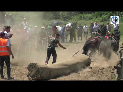 -Danijel Topalović (Rubin i Cvjetan ) u perolakoj Jelaha -