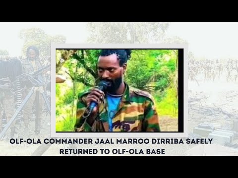 ODUU GAMMACHIISAA | HOOGGANAA OLAANAAN ABO-WBO JAAL MAROO DIRRIBAA NAGAAN DIRREETTI DEEBI'E