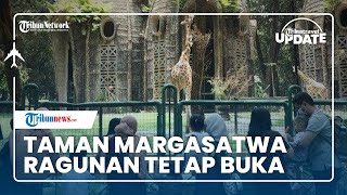 Taman Margasatwa Ragunan Tetap Buka di Hari Raya Idul Adha 2022, Bisa Berkeliling Sambil Bersepeda