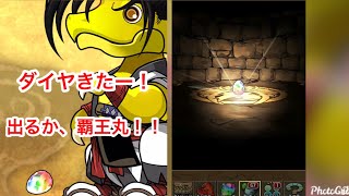 【パズドラ】サムライスピリッツガチャ開幕！引くぞー！！