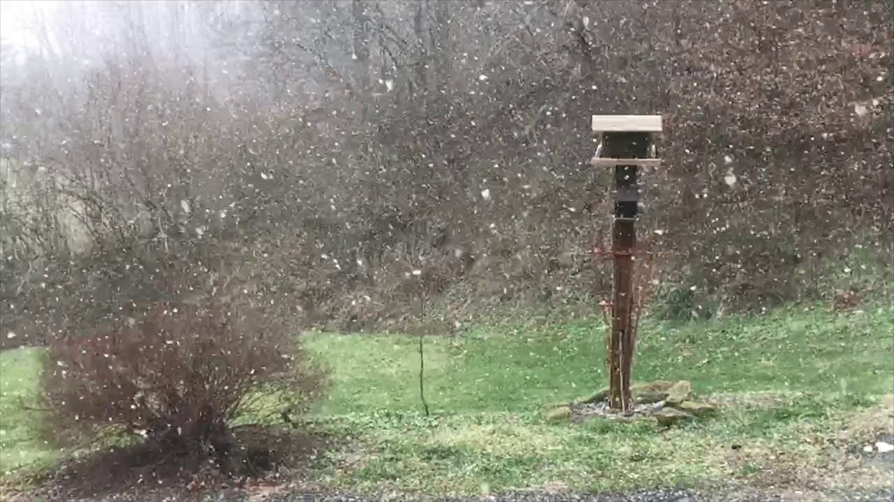 Jethro Tull-Another Christmas Song