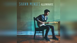 Shawn Mendes - There&#39;s Nothing Holdin&#39; Me Back (Official Audio)