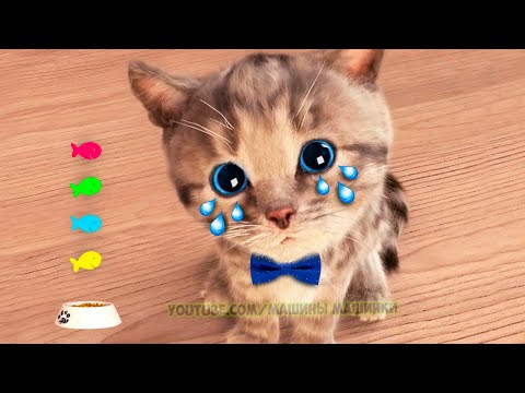 Little Kitten Preschool Adventure Educational Games -Play Fun Cute Kitten Pet Care Learning Gameplay