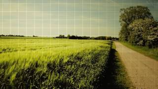 Ever Start To Wonder - The Dirty Guv'nahs