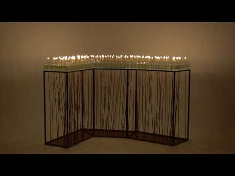 Katarzyna Szarek – Dystans