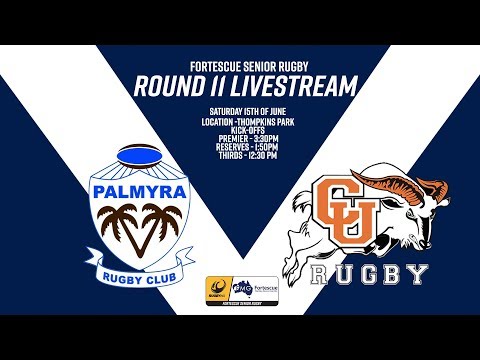 RWA Reserve Grade 2019 Round 11 - Palmyra v Curtin