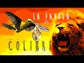 La Favola del Colibrì | Leggenda africana La Favola del Colibrì | Leggenda africana