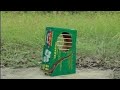 Creative Simple Quail Trap Using Cardboard Box And Wood That 100 Effective Diy Birdstrap Quail