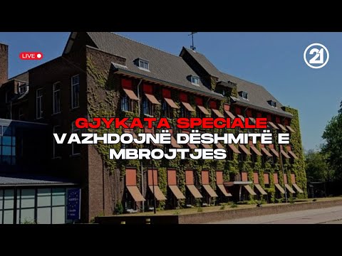 LIVE: Vazhdon dëshmia e Paul Williams