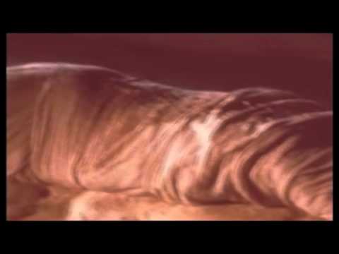 ONDA TG 25.05.2015 - COPIA SACRA SINDONE A SULMONA