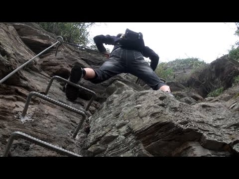 Der Moselsteig: 15. Etappe, Zell - Neef