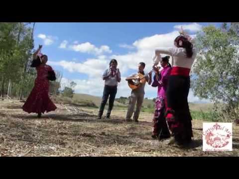 Cortijo del Arte, Pizarra. Romeria Gran Senda del Guadalhorce