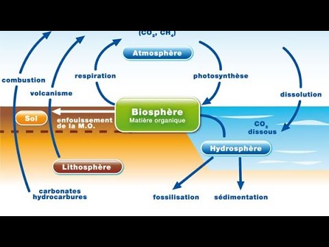 Le Cycle du Carbone - Expliqué en 3 minutes !
