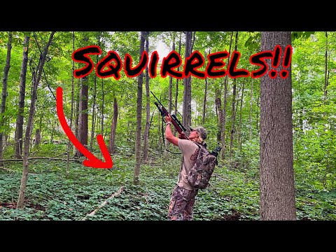 Opening Day Squirrel Hunting!! (Highs and Lows)