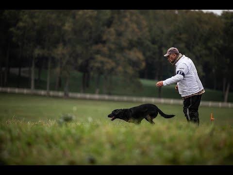 2020 SRS CROWN CHAMPIONSHIP - HUNTSVILLE, AL - SHOW 1