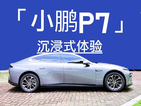 Xiaopeng P7 2020 rear drive long endurance intelligent version immersive experience (小鹏P7）