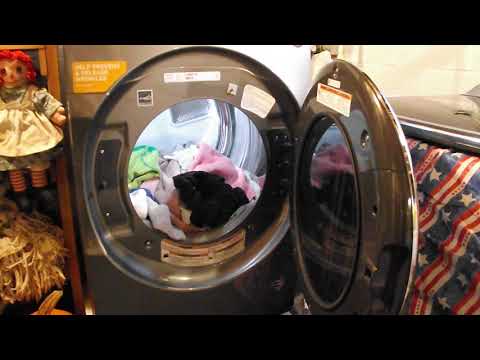 User submitted video