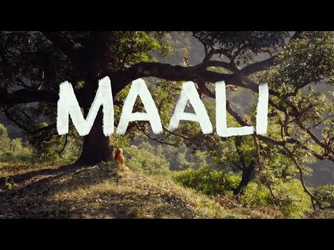 Maali - Trailer