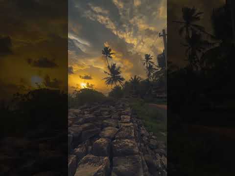 beach Vibes #evening #statusvideo #godsoncountry