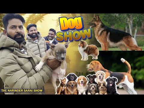 Dog show Amritsar 🐶🐶