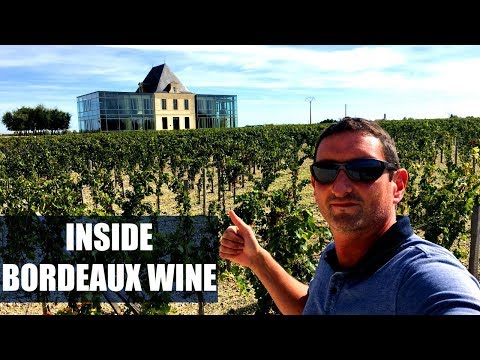How Wine is Made? Inside a Top Château in Bordeaux