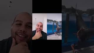 Dumb ways to die lady saving seal.