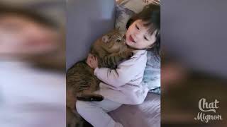 Download lagu Cute Cat Pets And Funny Animals Compilation #56 - Boss cats mp3