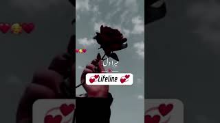 Download lagu Mera dil mera dil..dil Muqaddar sa yar Milta ha mp3 Download lagu Mera dil mera dil..dil Muqaddar sa yar Milta ha mp3