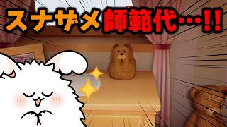 スナザメ師範代・・・！【品行崩壊めっちゃカメレオン】