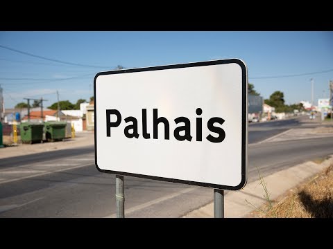 Pal Hajs TV - 80 - Palhais