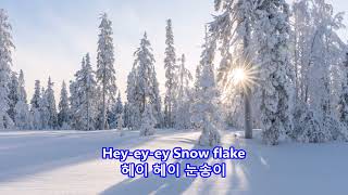 Snowflake - Jim Reeves: with Lyrics(가사번역)
