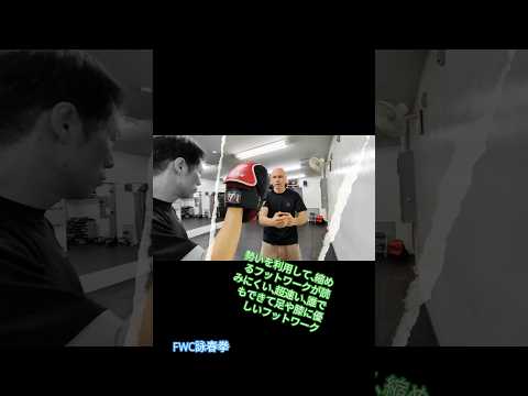 FWC詠春拳の超速いフットワーク　#詠春拳 #格闘技 #武術　#埼玉セミナー