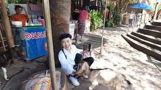preview picture of video 'Walking at Ayuthaya floating market in Thailand 2018 - 4K 60FPS HDR'