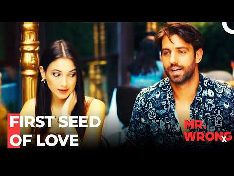 Support My Love - Mr. Wrong