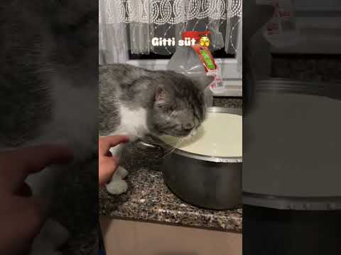 Afiyet Olsun Minnoşa🥰