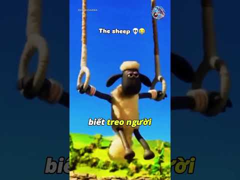Khi Cừu Đẳng Cấp Hơn Bạn 🧐