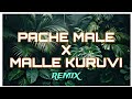 Pache Male X Malle Kuruvi Remix Dj Nesh X CandyBoii Ent Green Rasta Crew