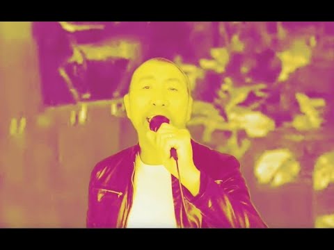 DJ HEIKI feat  LEROY FAHNKAR - Sõber (official video)