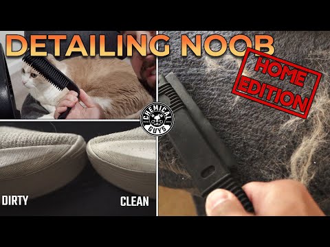 How To Remove Pet Hair! Newbie at Home Guide - Chemical Guys