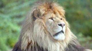 Alpha & Omega - Pure And Clean