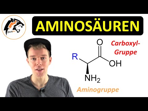 AMINOSÄUREN (Aufbau, Eigenschaften, Zwitterion) | Chemie Tutorial