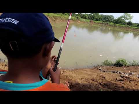 BOCAH CILIK PINTER MEMANCING IKAN...#PINTERMANCINGIKAN#MANCINGIKAN