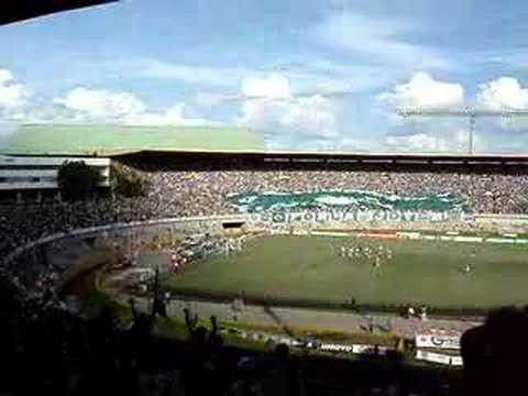 GOIAS X INTER - Gol do Elson