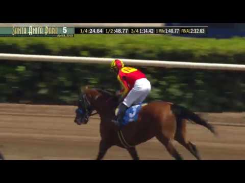 Tokyo City Cup (Grade III) 04/08/18