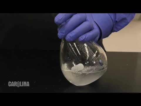 image-What are the 3 experiments?