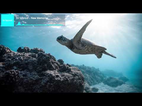DJ Spyroof - New Memories